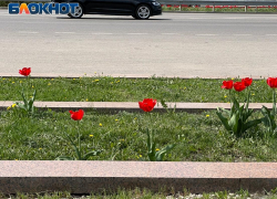 Долгожданное потепление скоро придет в Воронеж