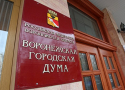 Воронежцы получили возможность присутствовать на заседаниях городской Думы