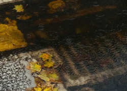  Антициклон принесет туманную погоду в Воронежскую область