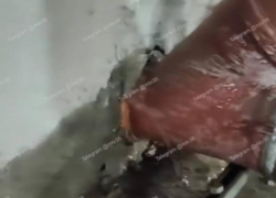 Дом тонет с момента сдачи: воронежцы пожаловались на бездействие УК