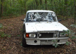 "Семёрка" на вечер: мужчина пошел на "уголовку" ради удовольствия в Воронежской области