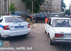 Женщину без прав, везущую ребенка без кресла, поймали по наводке воронежцев 