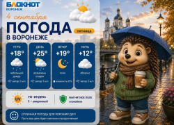 О капризах погоды в Воронеже рассказала позитивная блондинка 	
