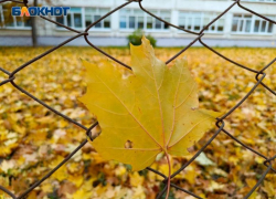 Какие погодные сюрпризы преподнесет воронежцам сентябрь 2025 года 