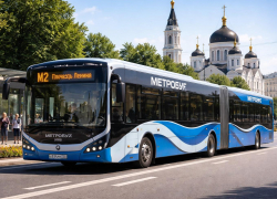 Техзадание на проектирование метробуса отправили на доработку в Воронеже