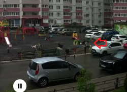 Погоня стаи собак за ребенком по детской площадке попала на видео в Воронеже