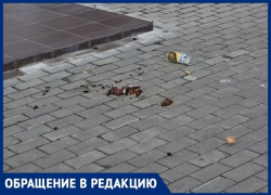 Воронежец предложил участковому пройтись по квартирам