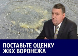 Фекальные гейзеры и «убийство наледью» главного коммунальщика Воронежа: итоги 2017 года