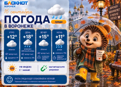 Пора на осеннюю прогулку: прогноз погоды в Воронеже 