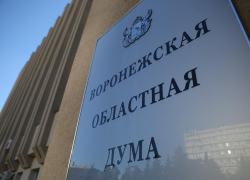  Денежную компенсацию за свою работу продолжат получать депутаты Воронежской облдумы 
