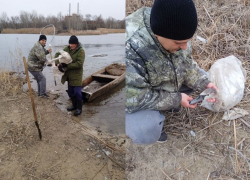 Чудесное спасение замерзающего лебедя произошло на юге Воронежской области