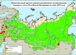 В красную зону прогноза майских природных пожаров попала Воронежская область