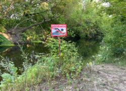 Тело 14-летней девочки обнаружили в воронежской реке