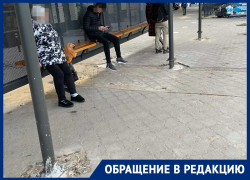 Умную остановку с подвохом показали воронежцы в Северном 