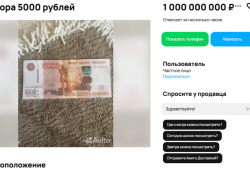 В космическую сумму оценили пятитысячную купюру в Воронеже 