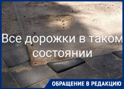 Позорное состояние парка «Алые паруса» наглядно показали в Воронеже