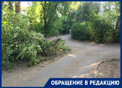 Благие намерения коммунальщиков возмутили жителей Воронежа