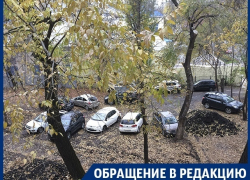 Отрицалы платных парковок захватили сквер в центре Воронежа 