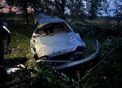 Потерял управление, выехал на встречку: в аварии погиб 15-летний пассажир в Воронежской области