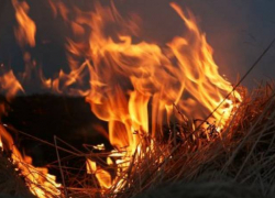 Под Воронежем в Терновском районе огонь уничтожил 150 тюков сена