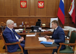 В воронежской «Единой России» не в курсе об отставке Владимира Нетесова с поста секретаря реготделения