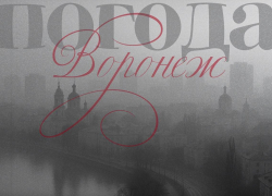 Ощущается как обморожение: из-за какой погоды не захочется выходить на улицу в Воронеже? 