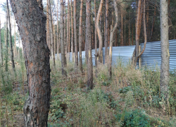 Очевидец рассказала подробности конфликта со стрельбой у Северного леса в Воронеже