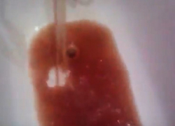 Льющийся «кофе» из крана в воронежской квартире попал на видео