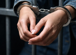 «Услуги» из инспекции: как воронежская налоговичка торговала тайнами компаний