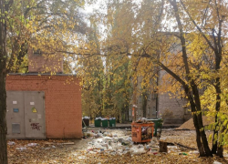 Лидером мусорного рейтинга регионов оказалась Воронежская область