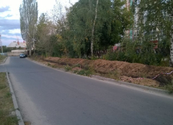 Администрация президента узнала, что компания Цыбаня и «Окей» подвергают опасности 5 тысяч воронежцев