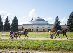 Хреновской конный завод отметил 250-летие в Воронежской области