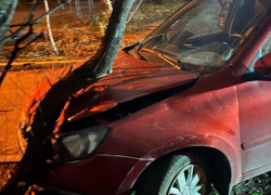 Автомобиль врезался в дерево в Воронеже