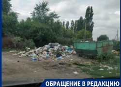 Мусорная драма разыгралась вокруг совхоза "Воронежский" 