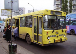 Воронежец предложил чиновникам ввести бесплатный проезд для пожилых людей