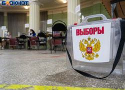Назван район с самой высокой явкой на выборах президента в Воронежской области
