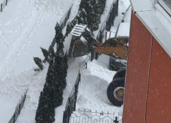 Трактор управляшки поломал туи воронежцам во время уборки снега 