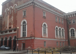 В Воронеже вокруг Мариинской гимназии спилили деревья