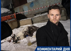 Худрук воронежского театра назвал садизмом смерть оленя на улице 