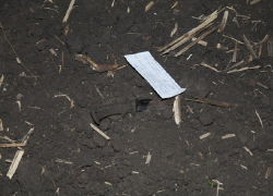 Страшное убийство таксистки на воронежской дороге дошло до суда