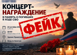 На фейковый концерт в память о погибших героях СВО приглашают воронежцев неизвестные злоумышленники