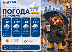Осень пришла: прогноз погоды в Воронеже