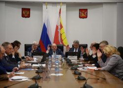 Почему депутатам можно пропускать важные заседания, ответили в Воронежской облдуме 