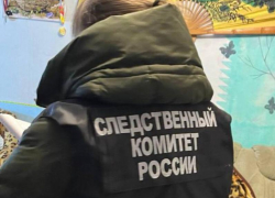 Воронежец зарезал своих родителей – опубликовано видео с места убийства 