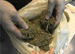 Под Воронежем у предполагаемого вора нашли почти килограмм марихуаны 