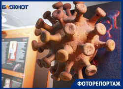 Гигантские макеты Covid-19 и портреты погибших врачей на выставке «Красная зона» в Воронеже