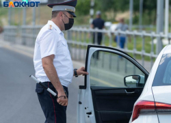 О большом улове пьяных водителей рассказали воронежские полицейские 