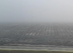 Мокрый снег, туман и гололед привели к желтому уровню погодной опасности в Воронежской области