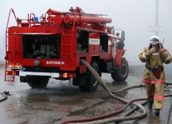 В Воронежской области два маленьких мальчика погибли на пожаре