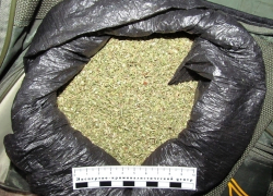 В Воронежской области задержан таксист-наркоман, который перевозил 1,5 кг марихуаны